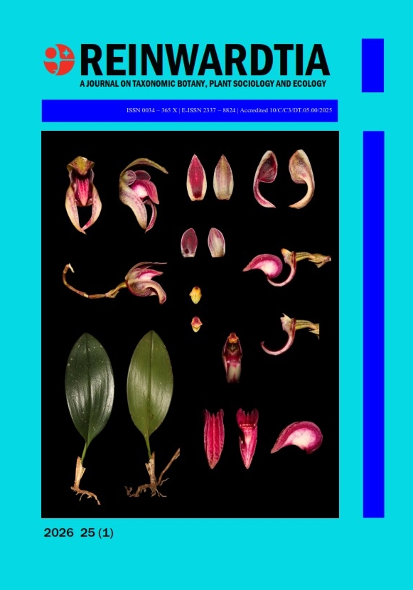BOTW_Bulbophyllum alsiosum