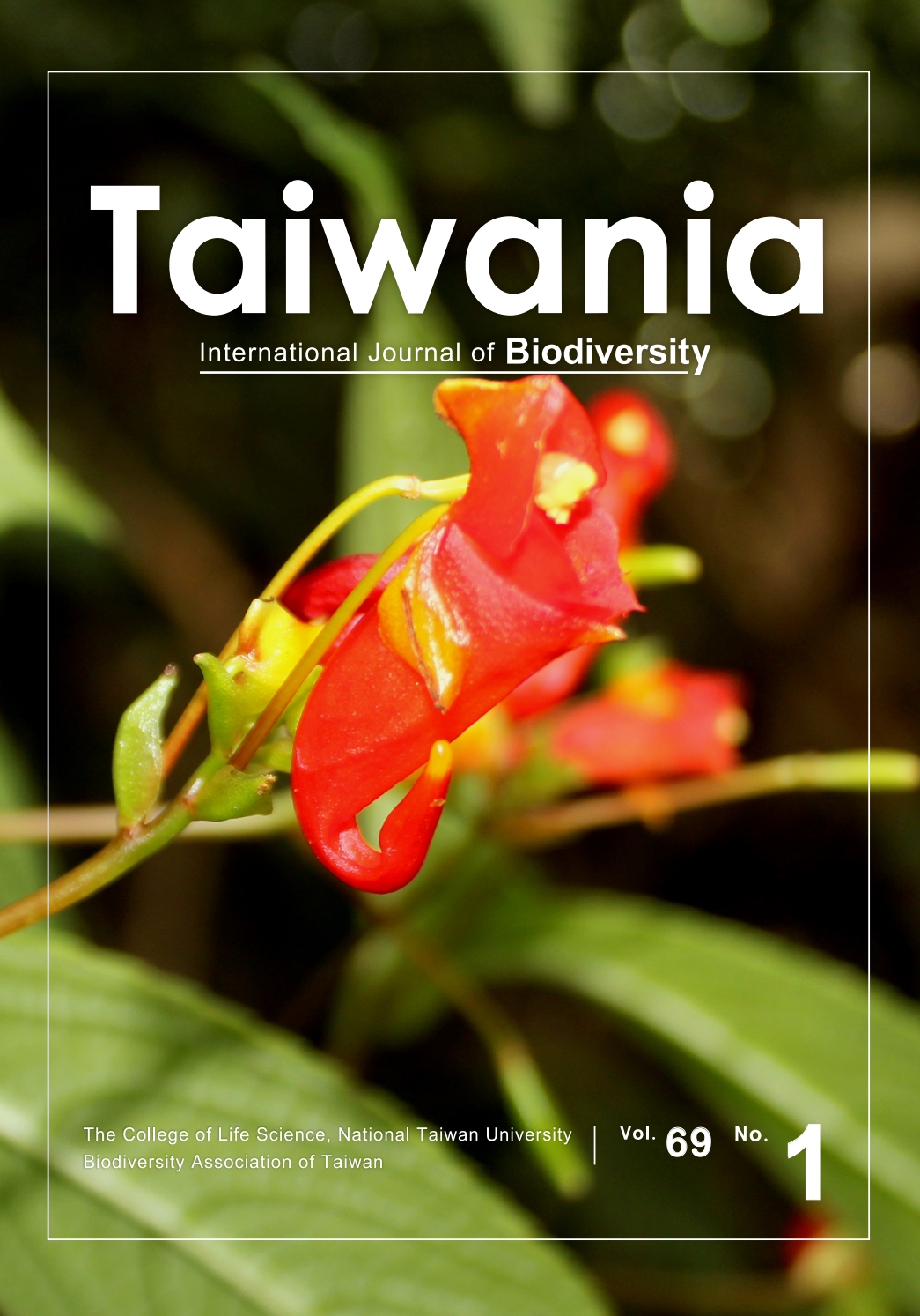 BOTW_Impatiens bungeilang